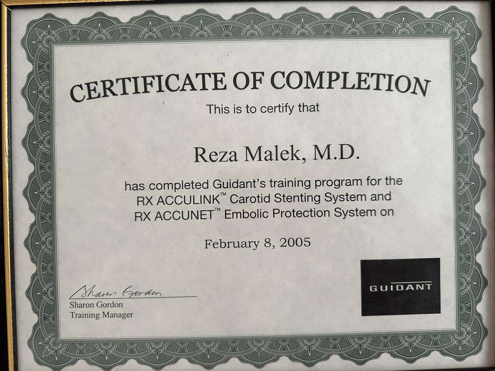 RX ACCULINK™ Carotid Stenting & RX ACCUNET™ Training — Feb 8, 2005 — Guidant Corporation
