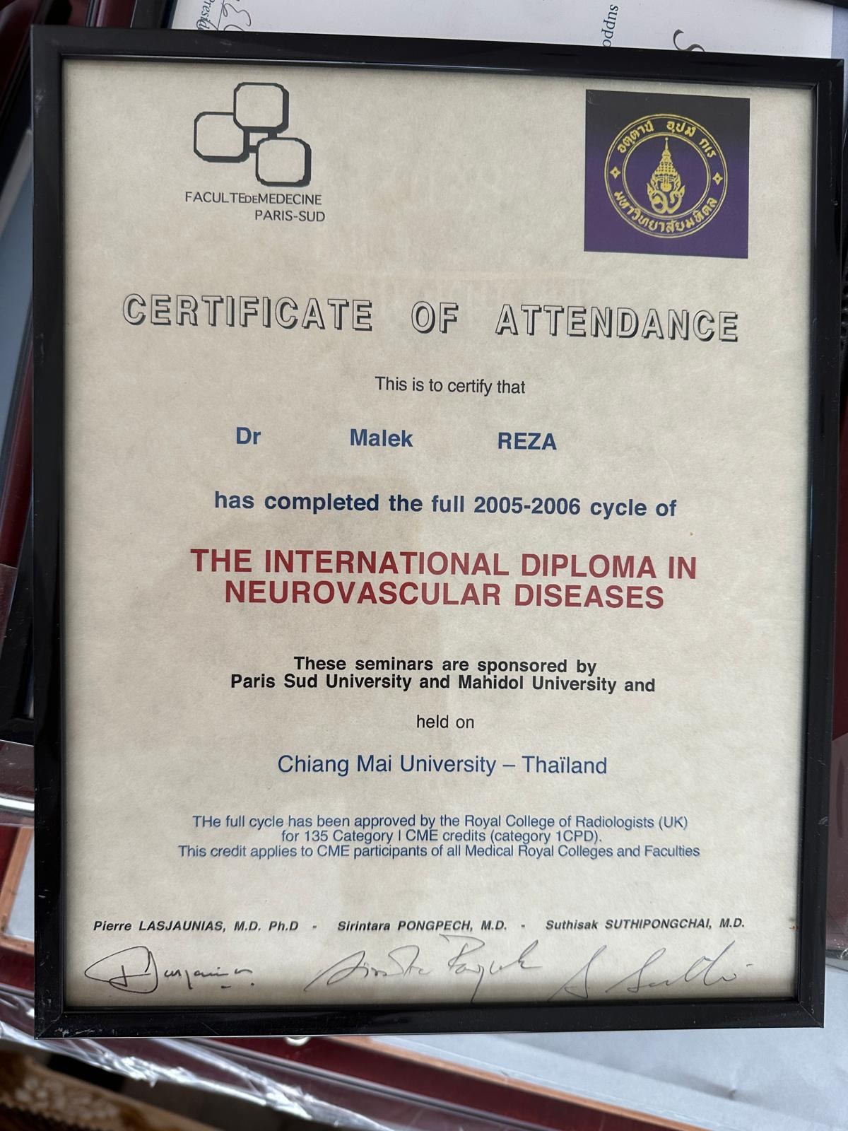 International Diploma in Neurovascular Diseases — 2005–2006 — Université Paris-Sud × Mahidol University · Chiang Mai