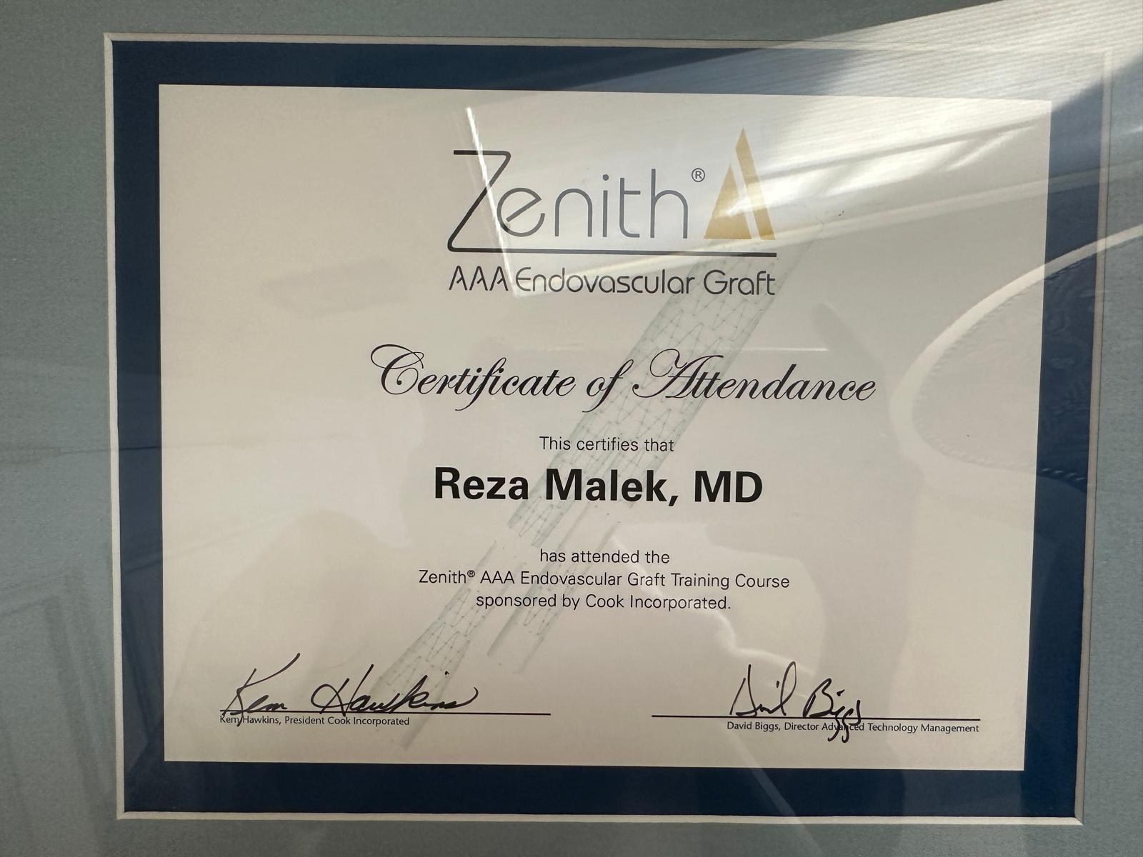 Zenith® AAA Endovascular Graft Training Course — Cook Incorporated